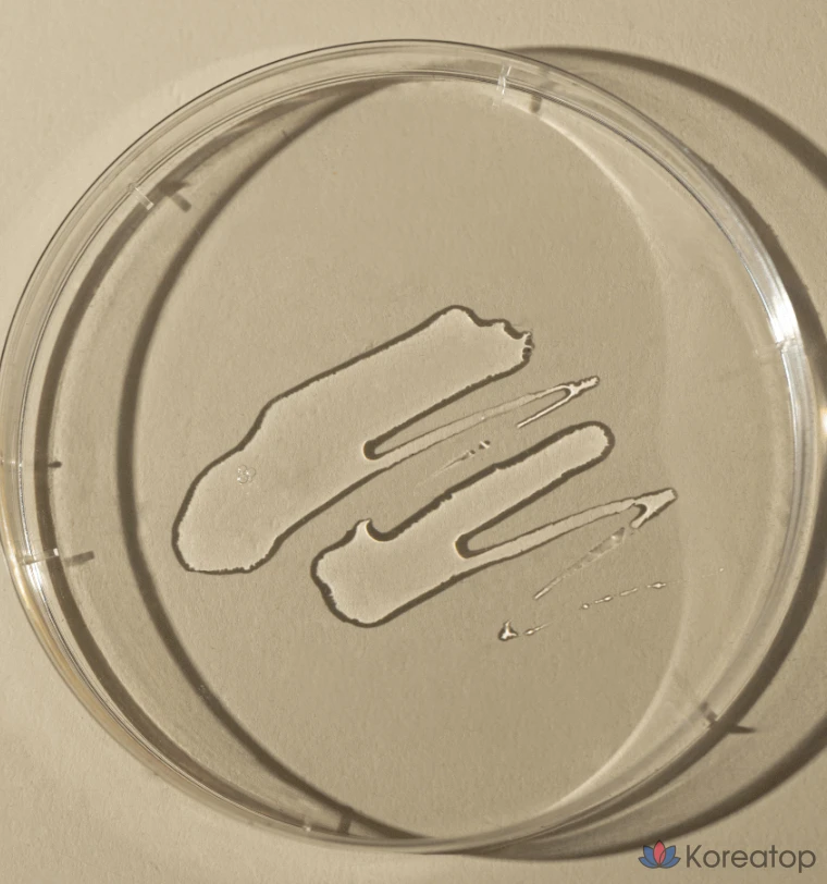 Toun28 Propolis Витамин C B3 B5 B6 Балансирующий тоник, 1 шт., 250 мл