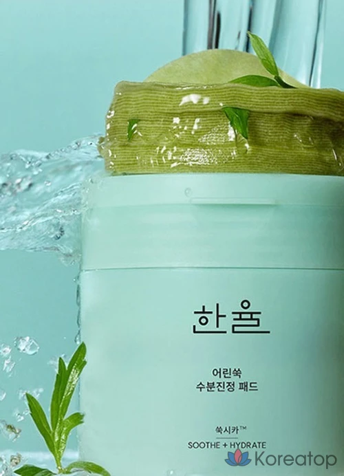 Пэды для лица HANYUL Artemisia Soothing Moisture Pad, 170 мл, 60 шт.