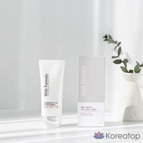 Солнцезащитный крем Wish Formula Fermented Oil-Free Doctor Mild Sunblock SPF50+ PA+++, 65 мл, 1 шт.