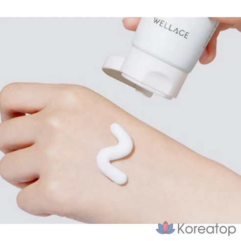 Успокаивающий крем Wellage Real Cica 95