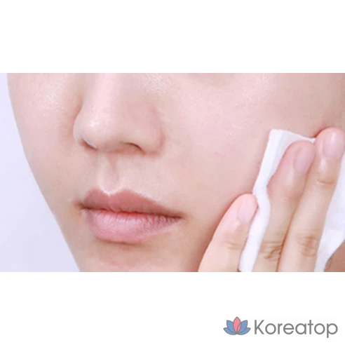 The Saem Средство для снятия макияжа с глаз и губ Healing Tea Garden Green Tea Lip &amp; eye Remover, 500 мл, 2 шт