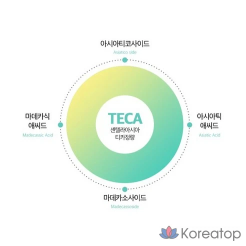 Солнцезащитный крем The Face Shop Dr. Belmer UV Derma Cica Moisture SPF50+ PA++++
