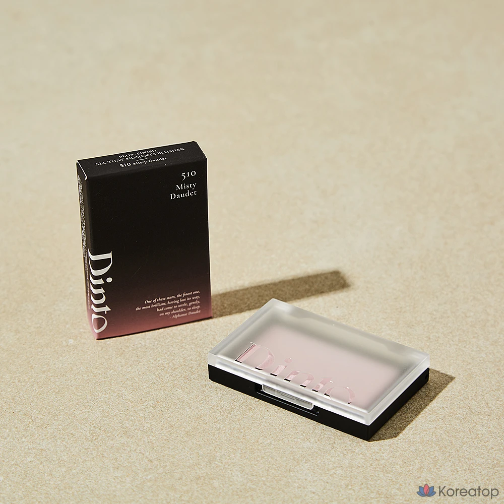 Румяна Dinto All That Moments Blusher, оттенок 510 Misty Dode, 1 шт., фото 3