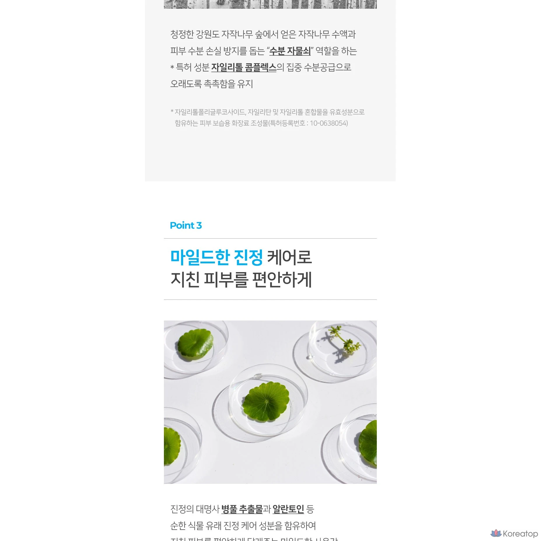 Тоник для лица Coreana Shine Water Fit с гиалуроновой кислотой, 310 мл, 1 шт.