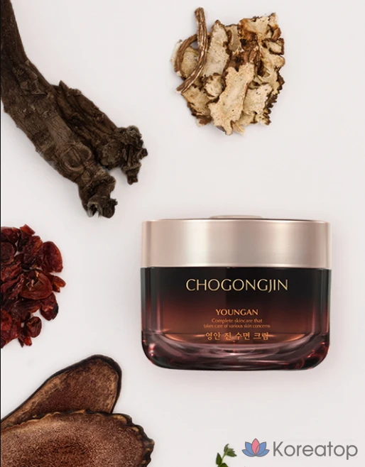 Ночной крем Chogongjin Youngan Jin, 100 мл, 1 шт.