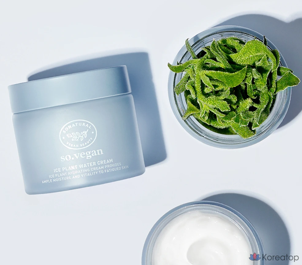 Натуральный веганский крем-мороженое So Natural So Vegan Ice Plant Water Cream, 70 мл, 1 шт.