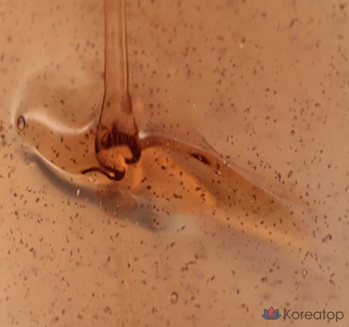 Chogongjin Youngan Jin Essence, 50 мл, 1 флакон