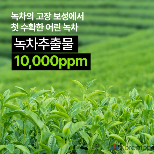 Nature Republic Увлажняющий набор из 3 предметов Тоник с экстрактом молодого зеленого чая + Эмульсия + Крем, 1 набор