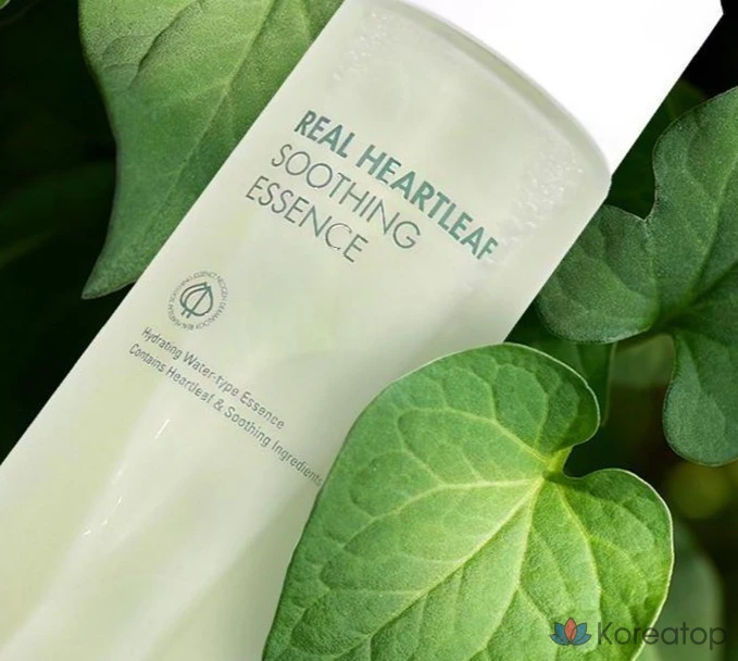 Успокаивающая эссенция Neogen Real Heartleaf Mugwort, 150 мл, 1 шт.