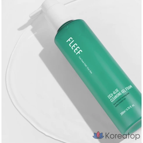 Очищающий гель-пенка Vegan Beauty Flip Cica Aloe