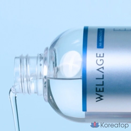 Тоник WELLAGE Real Hyaluronic 100, 200 мл, 1 шт.