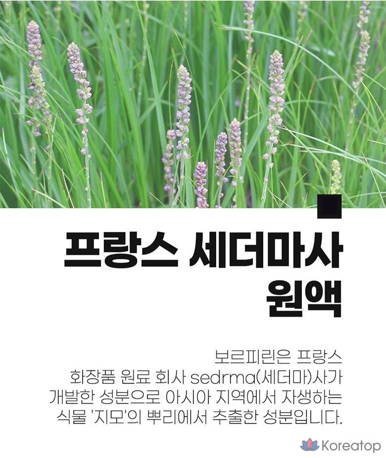 Франсуаза Борфирин, 10 мл, 1 шт.