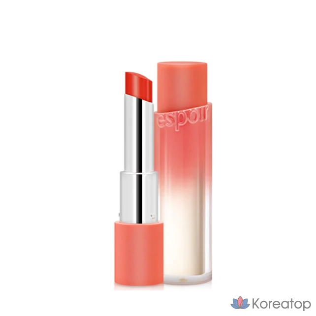 Матовая помада Espoir No Wear Chiffon, 3,4 г, 1 шт., № 01 Fogmauve