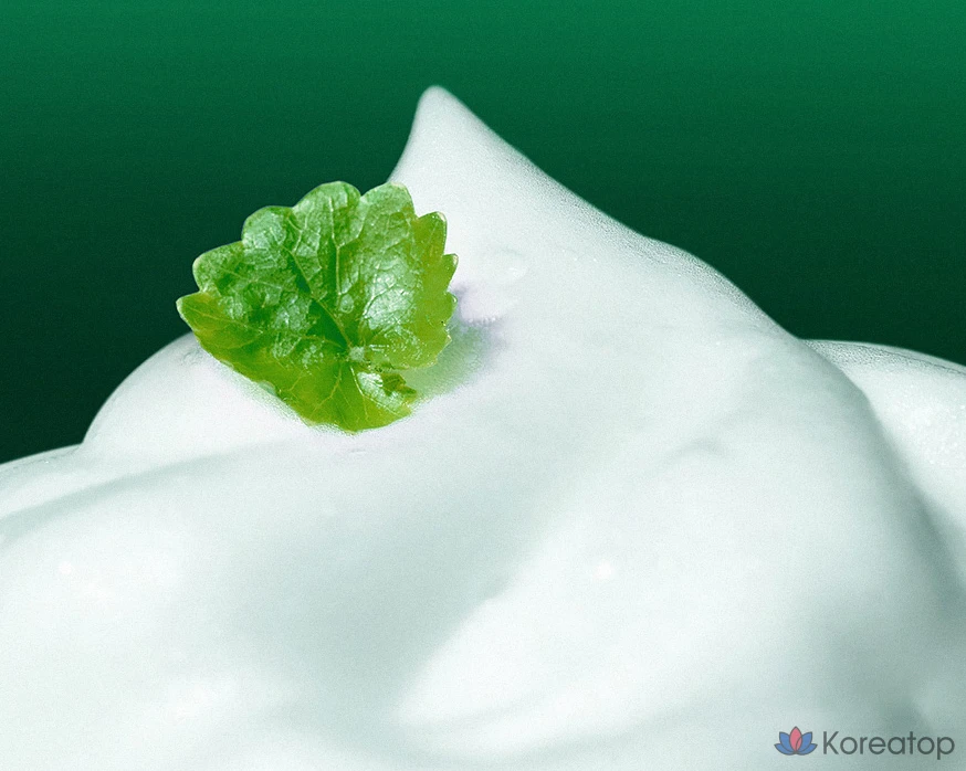 Очищающая пенка Dr.G Red Blemish Cica, 120 мл, 1 шт.