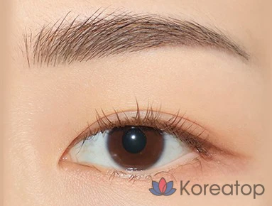 Стойкие карандаши для бровей The Face Shop FMGT Ink Brow Longwear Cara 5.5g, оттенок 04 Ash Brown, 1 шт., фото 3