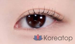 Палетка теней Innisfree Shade Classic, 8,5 г, оттенок № 1 Classic, 1 шт., фото 2