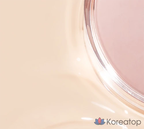 Тональный крем-кушон Ariel Ink Feeder Cover Lasting Cushion Foundation SPF50+ PA++++ 15 г, № 01 Ваниль, 1 шт., фото 8