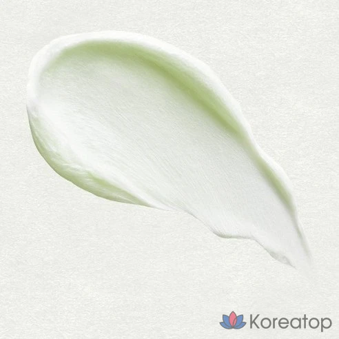 Освежающая очищающая пенка Skinfood Pantothenic Water Parsley