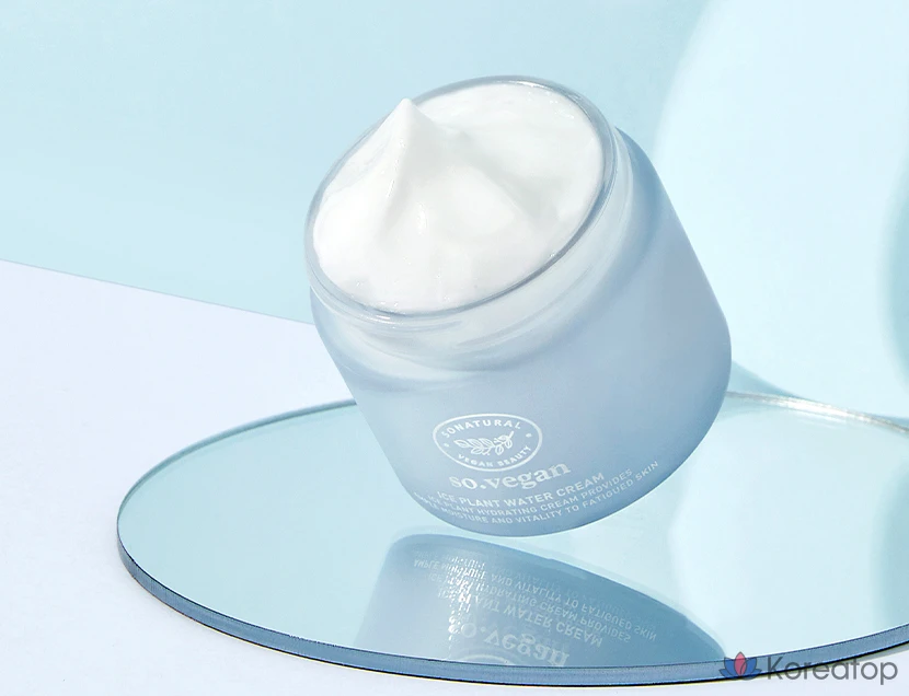 Натуральный веганский крем-мороженое So Natural So Vegan Ice Plant Water Cream, 70 мл, 1 шт.