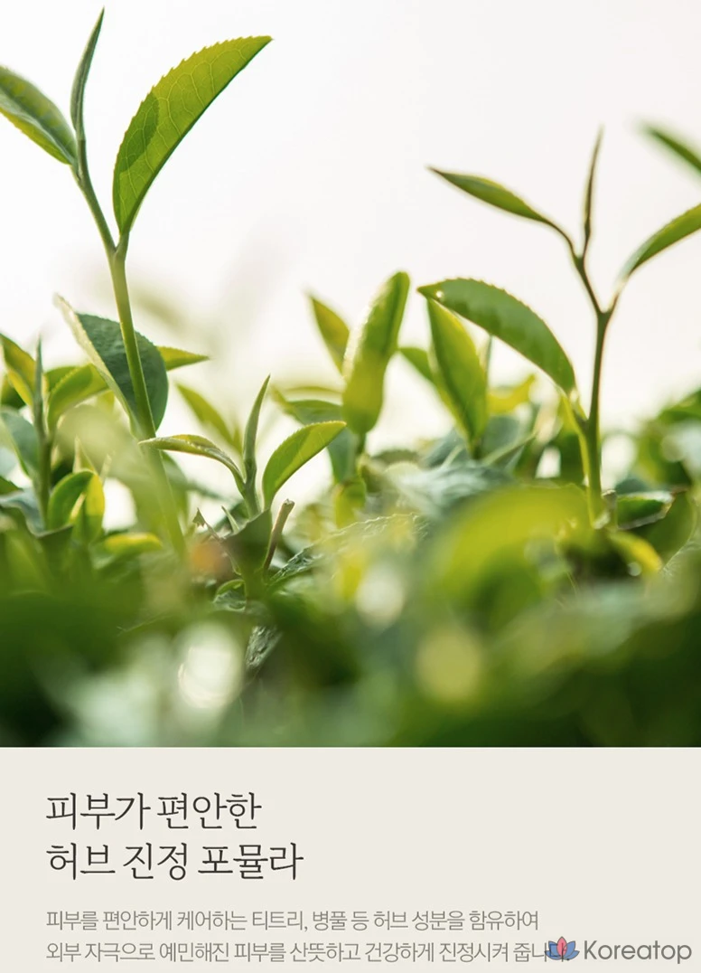 Сменный блок для геля для душа NARD Lavender Musk, 2,1 л, 1 шт.