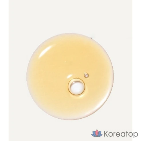 Innisfree Black Tea Youth Enhancing Treatment Essence