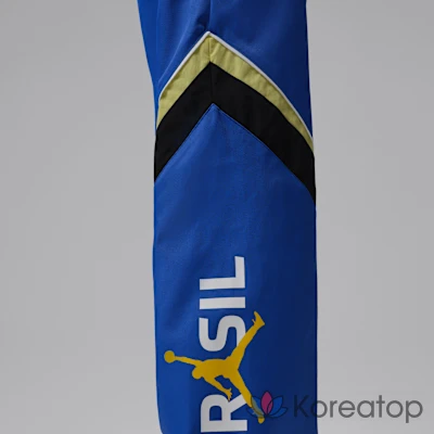 Брюки мужские Jordan Draft Pants