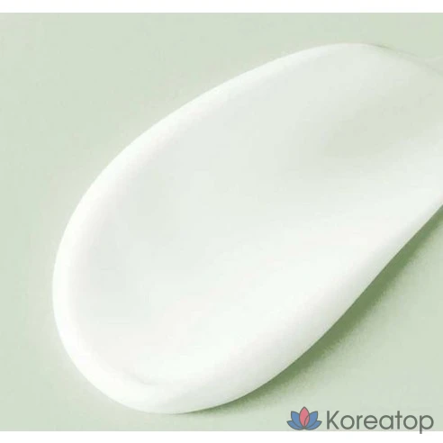 Увлажняющая эссенция с зеленым чаем Tony Moly The Chok Chok