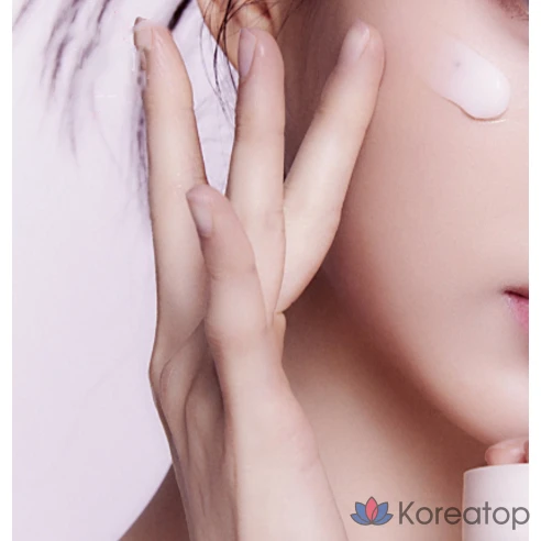 Сменный блок укрепляющего защитного крема с коллагеном и зеленым чаем Innisfree Ceramide