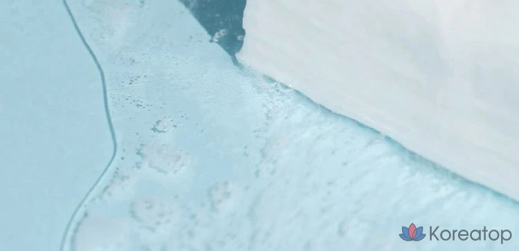 Салфетки для умывания Round Lab 1025 Dokdo, 30 листов, 1 упаковка.