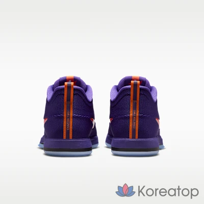 Баскетбольные кроссовки Nike Book 2 Sunburst EP