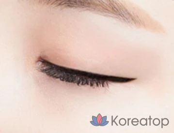 Подводка для глаз Holika Holika Tail Lasting Brush Eyeliner EX, оттенок 01 Real Black, 1 шт.