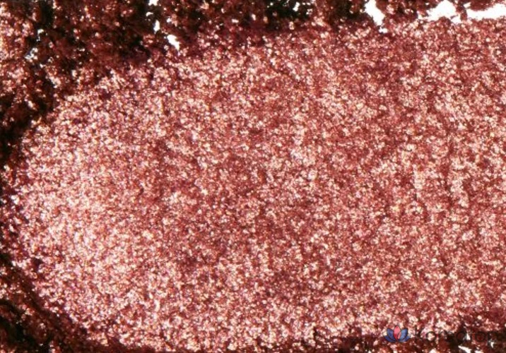 Touch in Sol Metallist Sparkling Foiled Pigment, 6 Persian Roses, 1 шт.