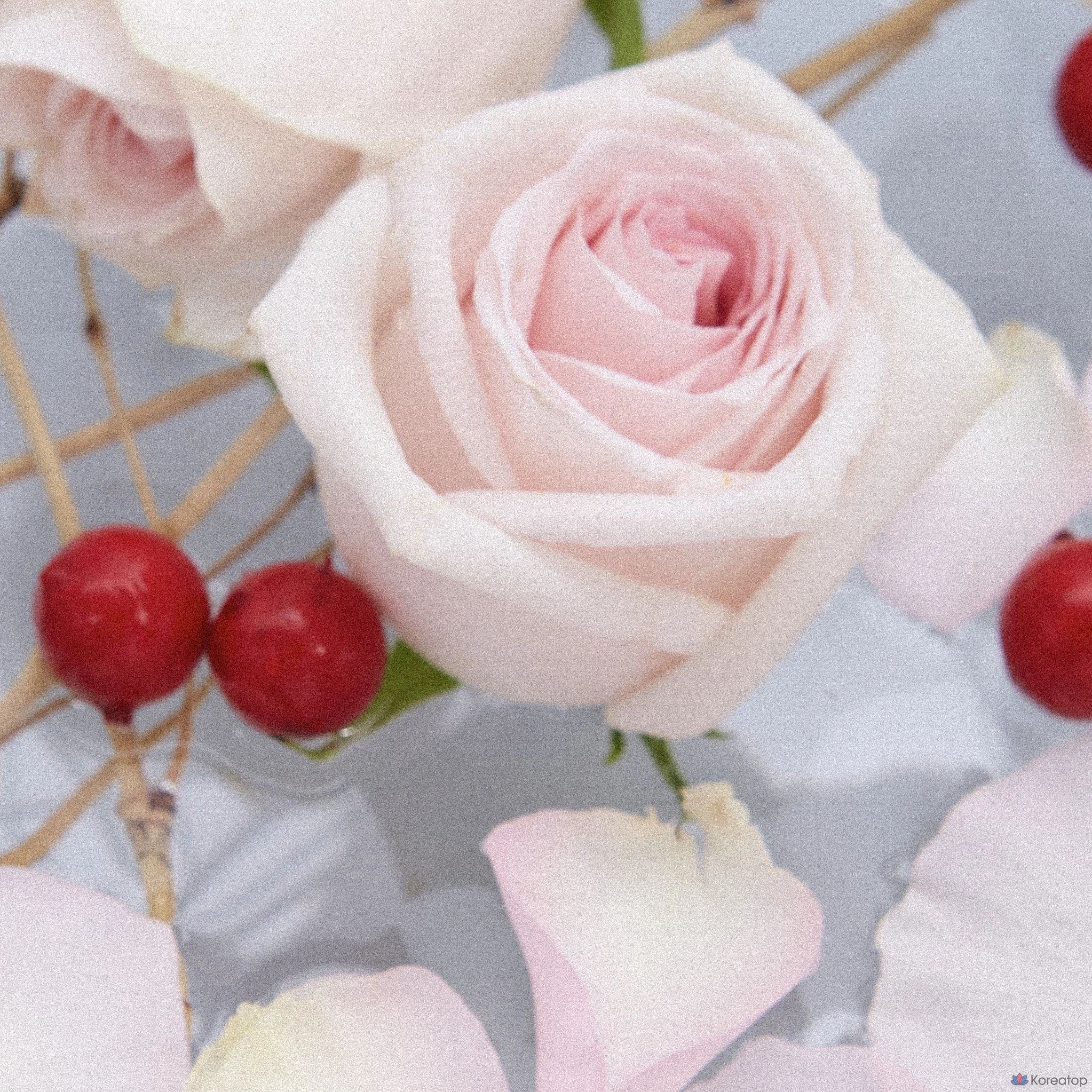 Парфюмерная композиция TEABLESS Rosehip Tea с ароматом розового дерева, 5 мл, 1 шт.