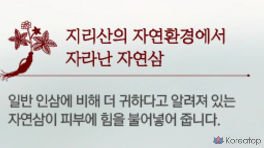 Жидкая ферментированная эссенция Sooryehan Hyobidam, 45 мл, 1 шт., фото 5