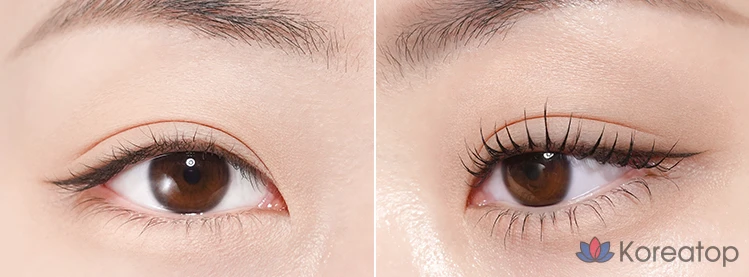 Тушь для ресниц MERZY Micro Fixing Long Lash Mascara 9 мл, MM1 черная, 1 шт.