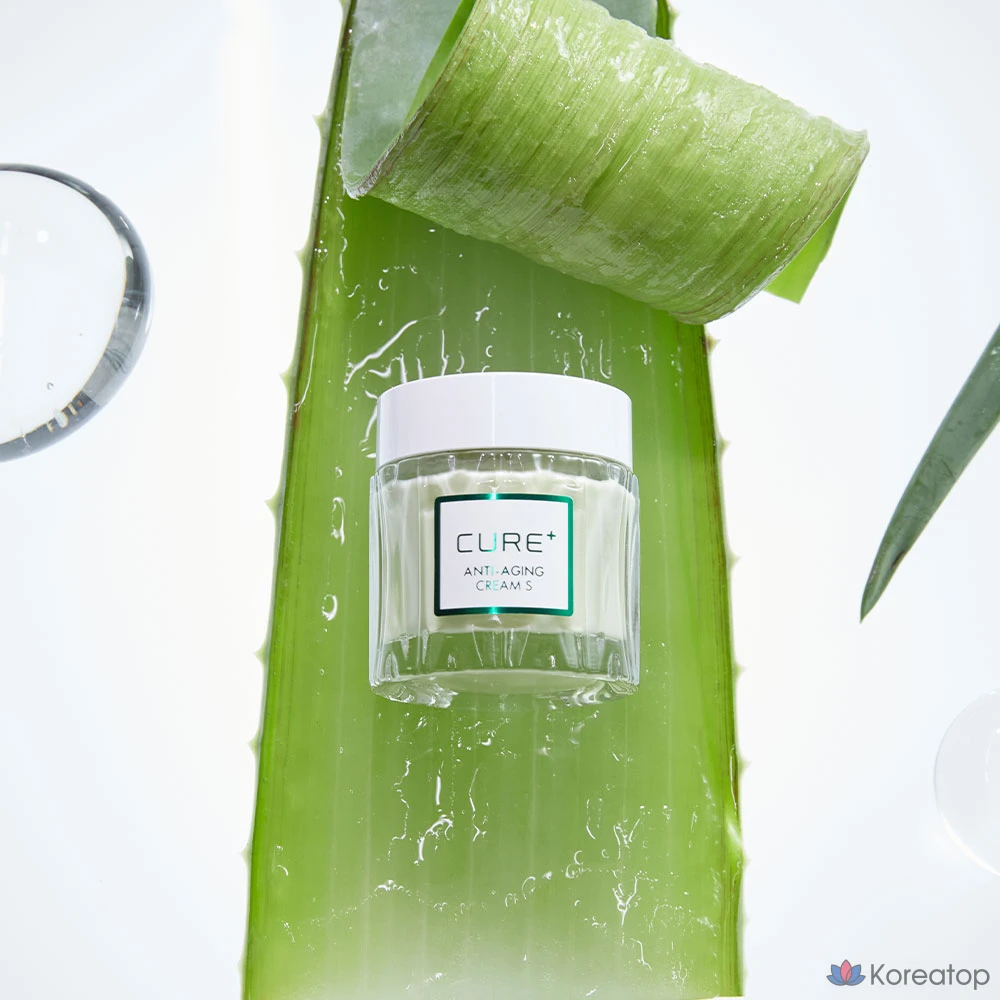 Крем для лица KIM JEONG MOON Aloe Cure Anti-Aging Wrinkle-Improving Elasticity Cream, S Brown Edition, 50 г, 1 шт.