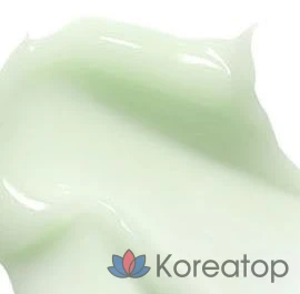 Успокаивающий зеленый крем The Saem Derma Plan, 70 мл, 1 шт., фото 2