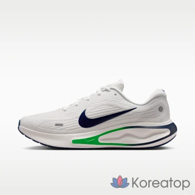 Кроссовки мужские Nike Journey Run