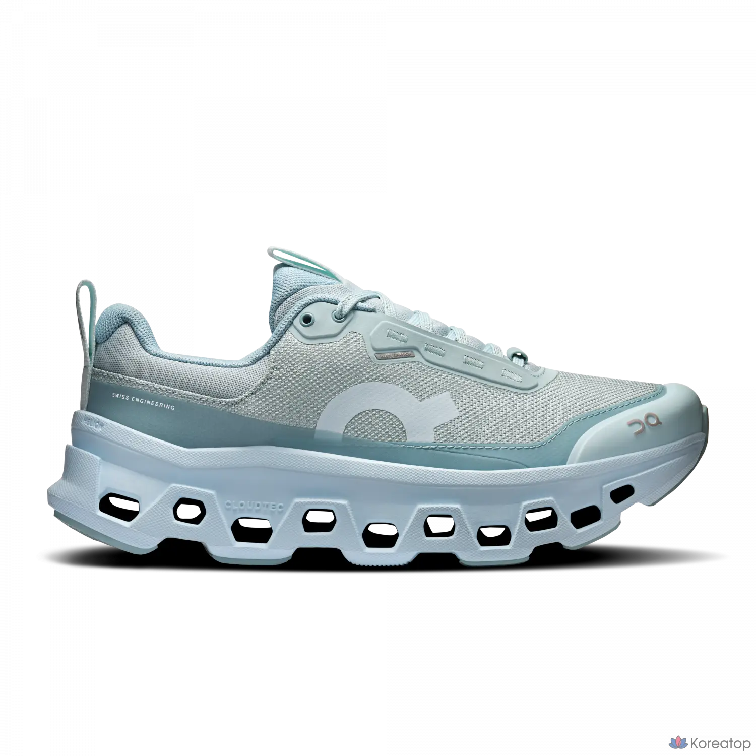 Кроссовки ON Cloudmonster 1 Waterproof