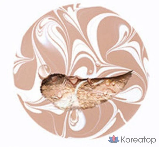 Essence Cover Pact Purple 12.5g, основной продукт и набор из 2 сменных блоков, № 21, белый и бежевый, по 1 шт., фото 5