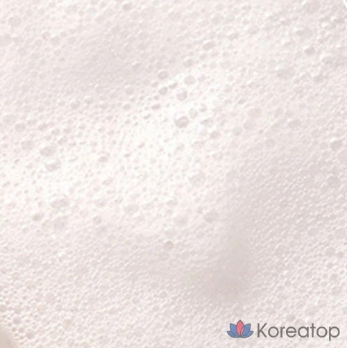 Антибактериальное пенное мыло для рук Lion, аромат чистой пушистой пудры, 4,5 л, 1 шт., фото 2