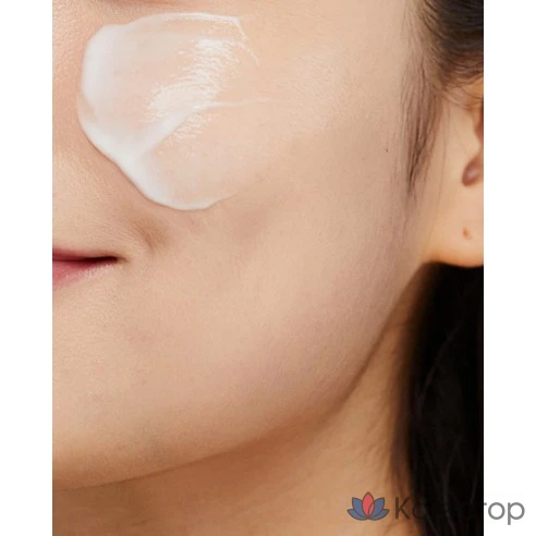 Сменный блок укрепляющего защитного крема с коллагеном и зеленым чаем Innisfree Ceramide