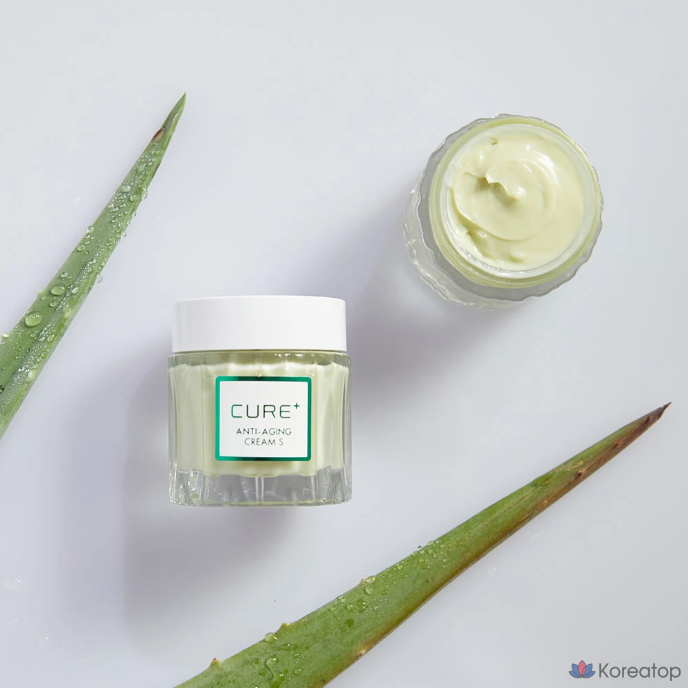 Крем для лица KIM JEONG MOON Aloe Cure Anti-Aging Wrinkle-Improving Elasticity Cream, S Brown Edition, 50 г, 1 шт.