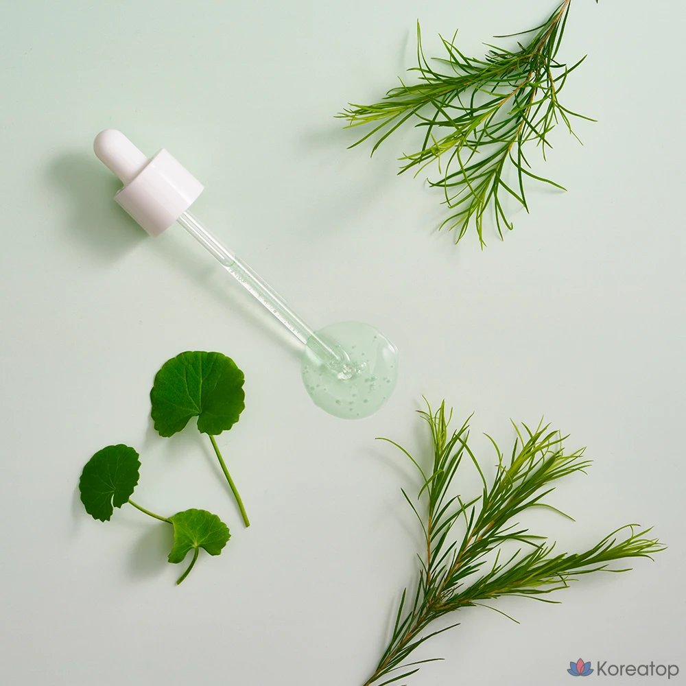 Успокаивающая ампула AVCA True Calming Cica Tea Tree, 100 мл, 1 шт.