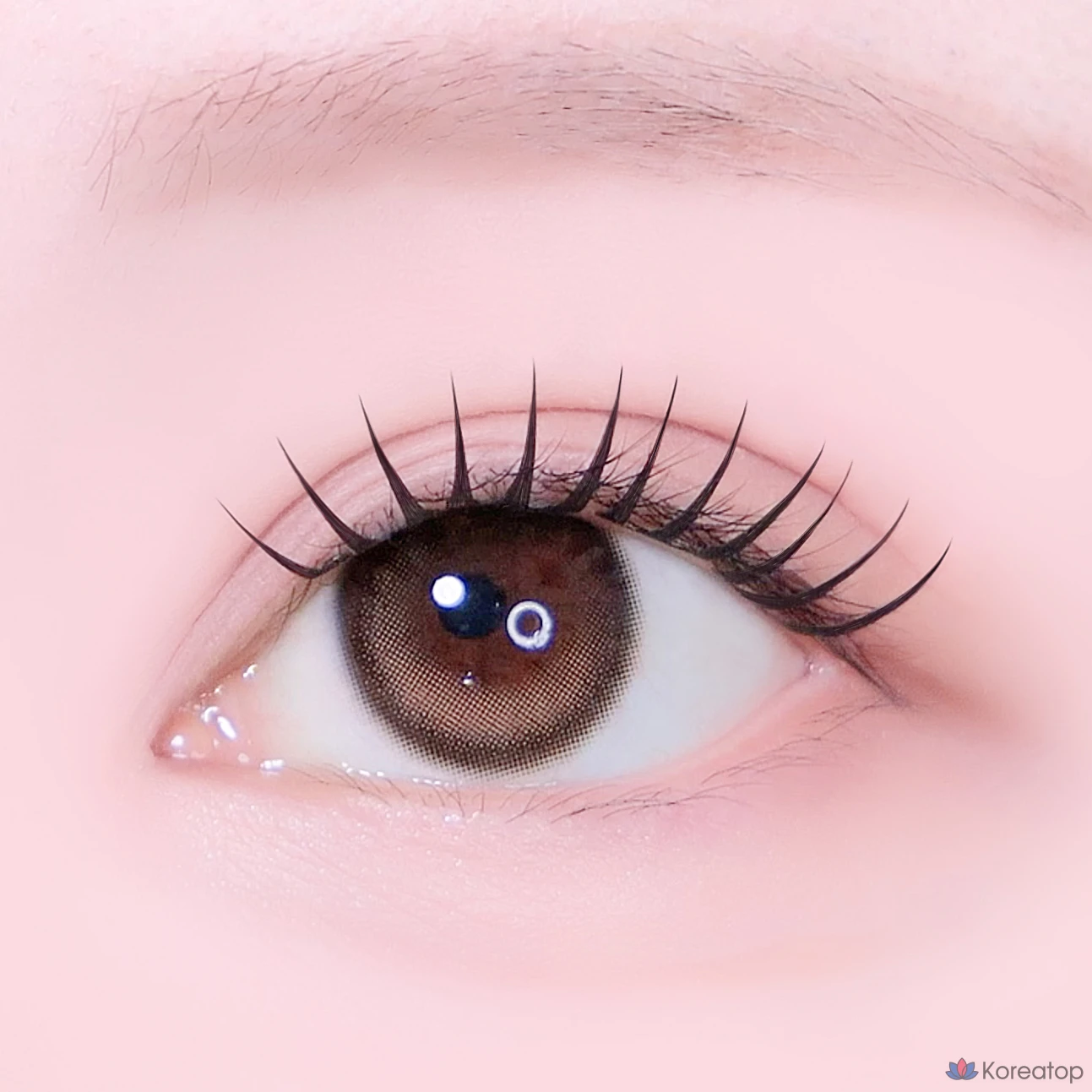 Накладные ресницы TokTok Koringco Toktokhara Noglue, оттенок Muse, 1 шт., фото 7