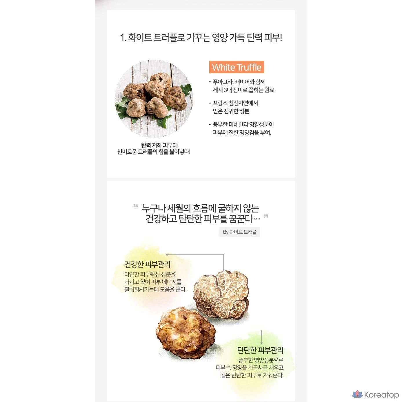 Coreana Shine Медовый коллагеновый увлажняющий крем для повышения эластичности 100 мл + Питательный крем Fresh, Moisture Truffle 100 мл