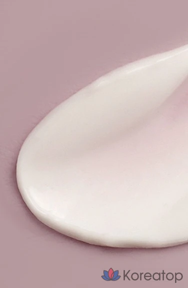 Лосьон для тела PAUL MEDISON Signature Perfume Collection Lavender, 1,6 л, 1 шт.