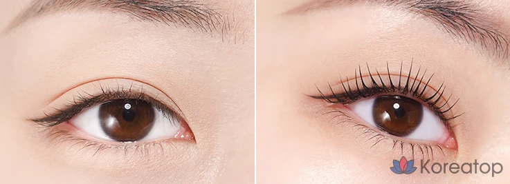 Тушь для ресниц MERZY Micro Fixing Long Lash Mascara 9 мл, MM1 черная, 1 шт.