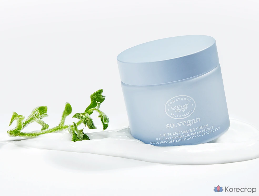 Натуральный веганский крем-мороженое So Natural So Vegan Ice Plant Water Cream, 70 мл, 1 шт.