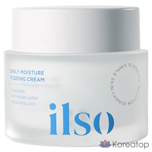 Увлажняющий крем-пудинг Ilso Daily Moisture Pudding Cream, 50 мл, 1 шт.
